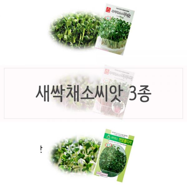 도매창고 도매창고